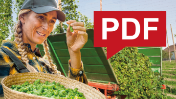 Hopfen Broschuere als PDF
